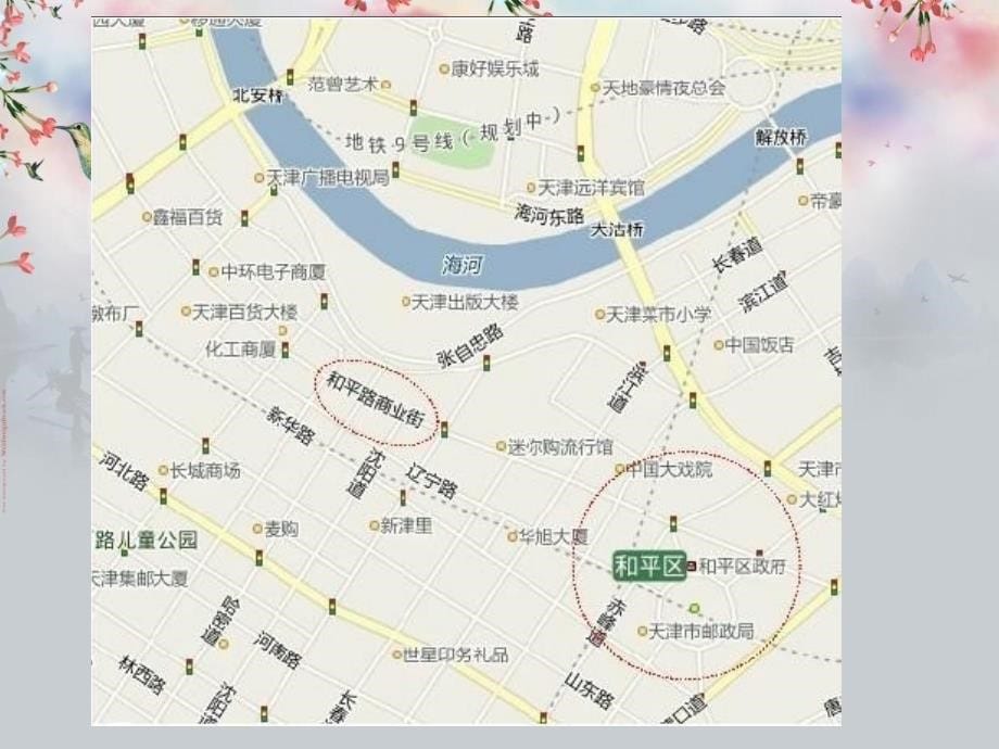 天津和平路商业街先例总结分析_第5页