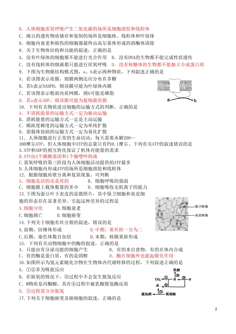 浙江省绍兴市2019_2020学年高二生物上学期期中试题（实验班）_第2页