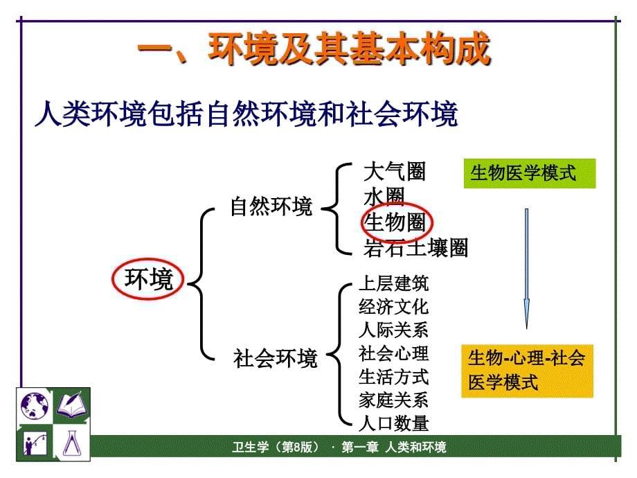 定稿第一章人和环境_第5页