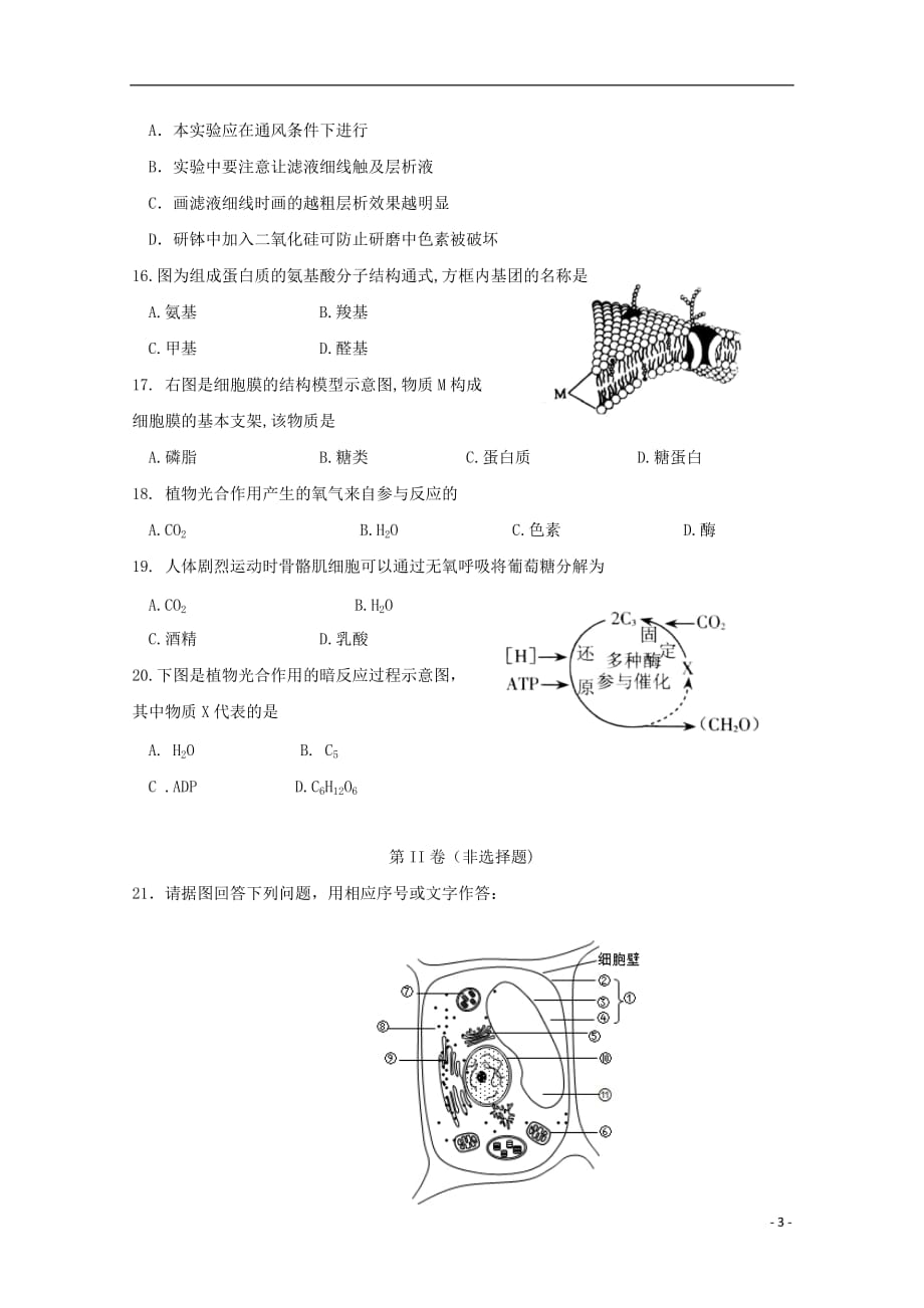 江苏省沭阳县修远中学、泗洪县洪翔中学2019-2020学年高一生物12月联考试题_第3页