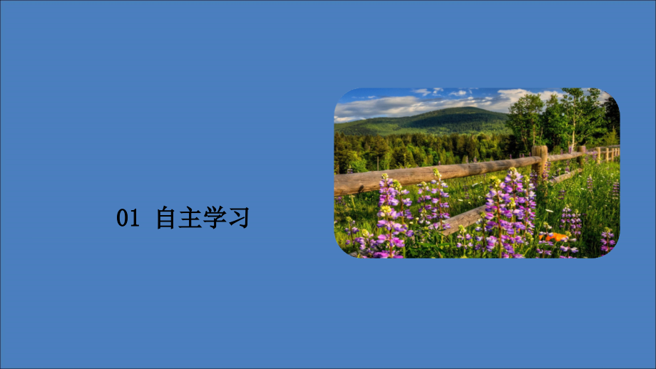 2019-2020学年高中政治 第四单元 当代国际社会 第八课 走近国际社会 课时一 国际社会的主要成员：主权国家和国际组织课件 新人教版必修2_第3页