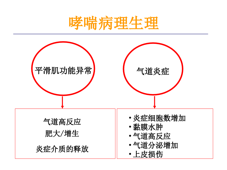 2011年03青岛雾化激素专家共识解读—雾化吸入糖皮质激素在儿科应用_第2页