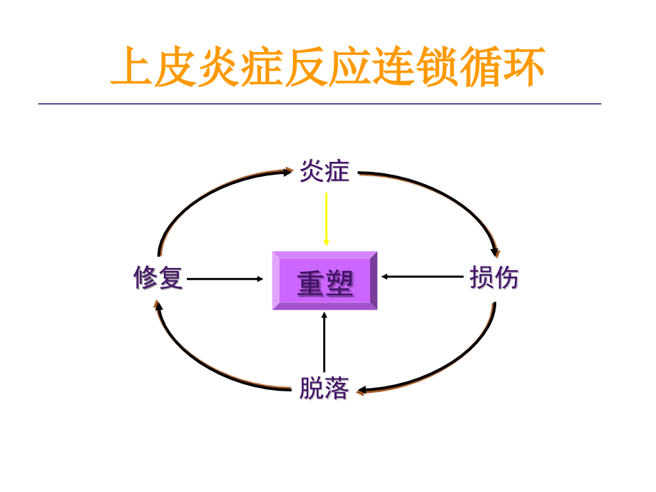 2011年03青岛雾化激素专家共识解读—雾化吸入糖皮质激素在儿科应用_第4页