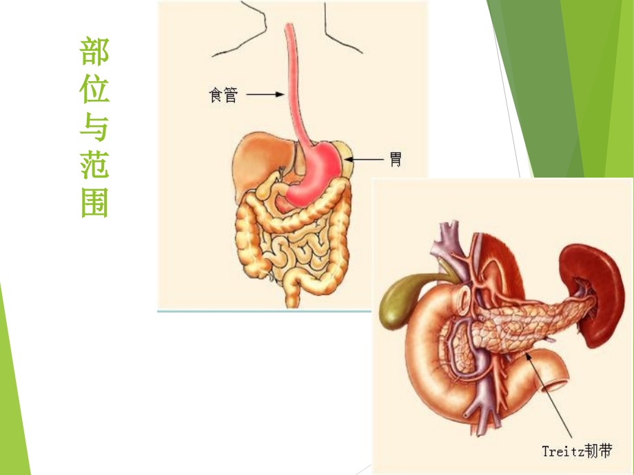 上消化道出血的鉴别诊断方法与处理原则_第3页