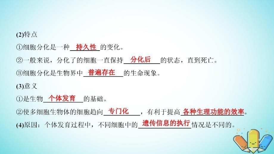 2018-2019学年高中生物 第六章 细胞的生命历程 第2、3、4节 细胞的分化、衰老和凋亡及癌变课件 新人教版必修1_第5页