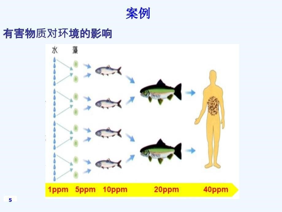 ROHS HF REACH法规环保知识培训教材_第5页