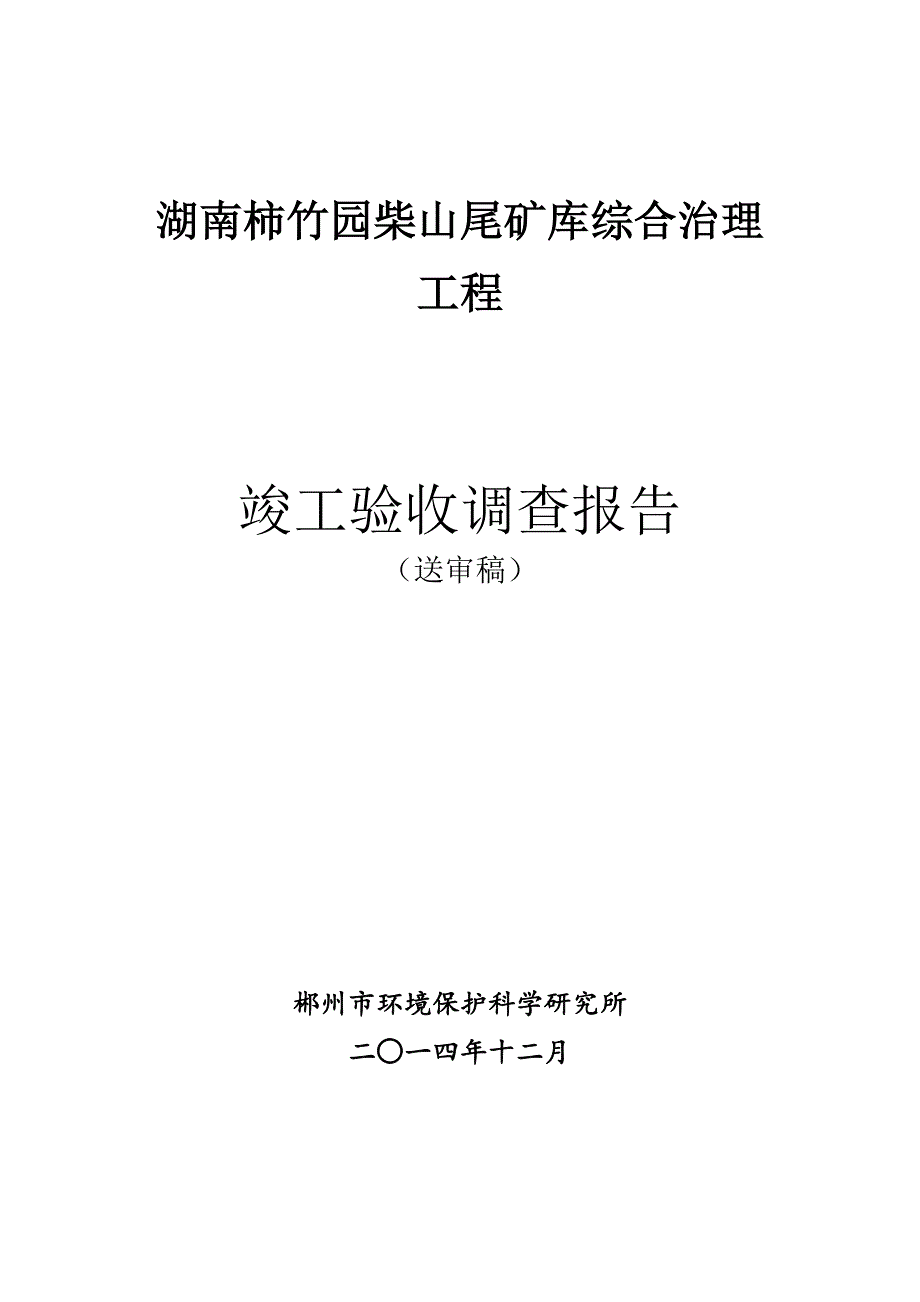 2020年尾矿库综合治理工程竣工验收调查报告.docx_第1页