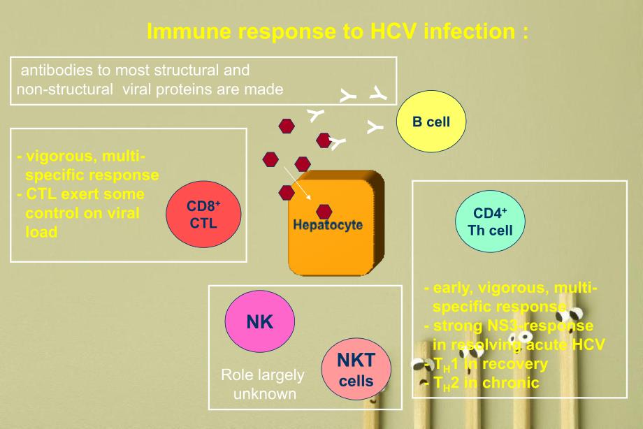慢性HCV肝炎抗病毒疗效的预测和临床评估_第3页