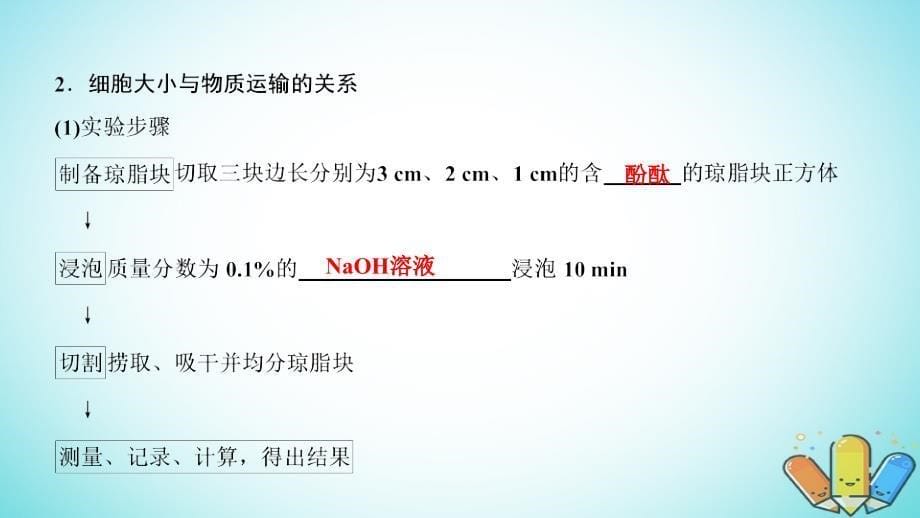 2018-2019学年高中生物 第六章 细胞的生命历程 第1节 第1课时 细胞的增殖（1）课件 新人教版必修1_第5页