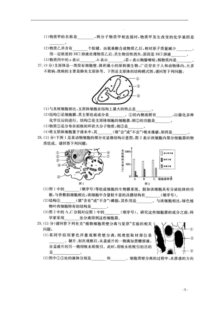 河北省临西县实验中学2019-2020学年高一生物上学期第二次调研考试试题（扫描版）_第5页