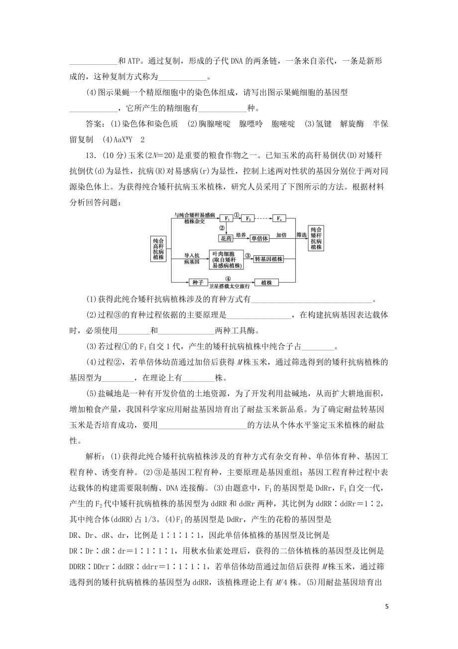 2019-2020学年高中生物 第四章 遗传的分子基础 章末综合检测（三） 苏教版必修2_第5页