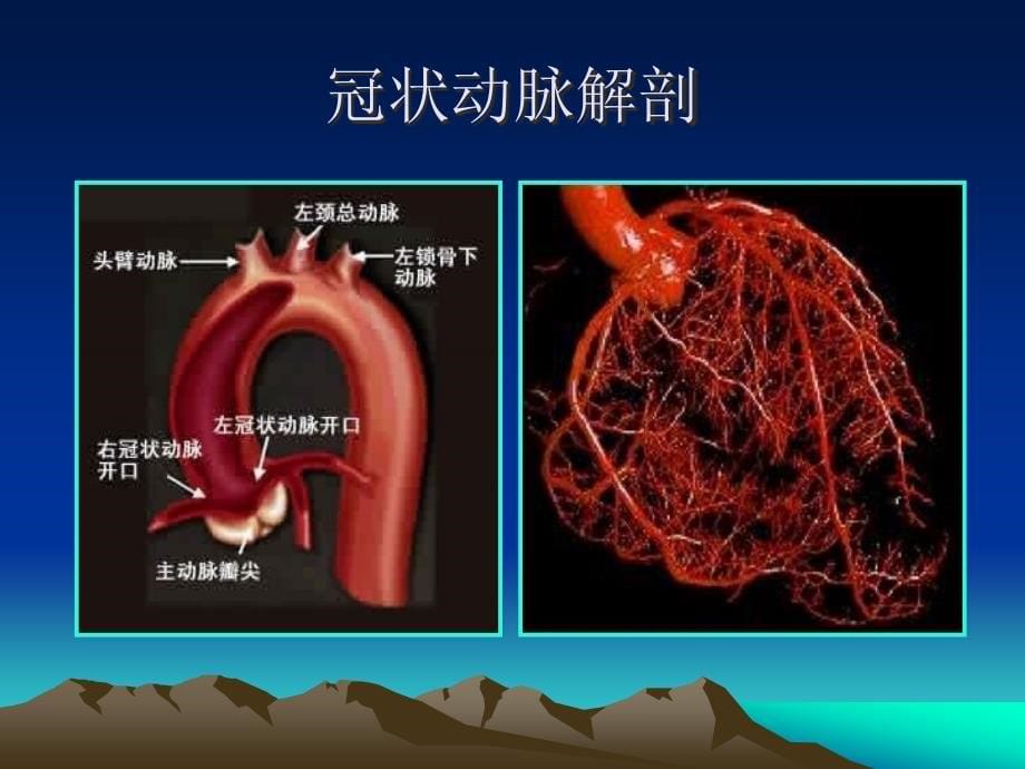 冠心病介入治疗要求_第5页