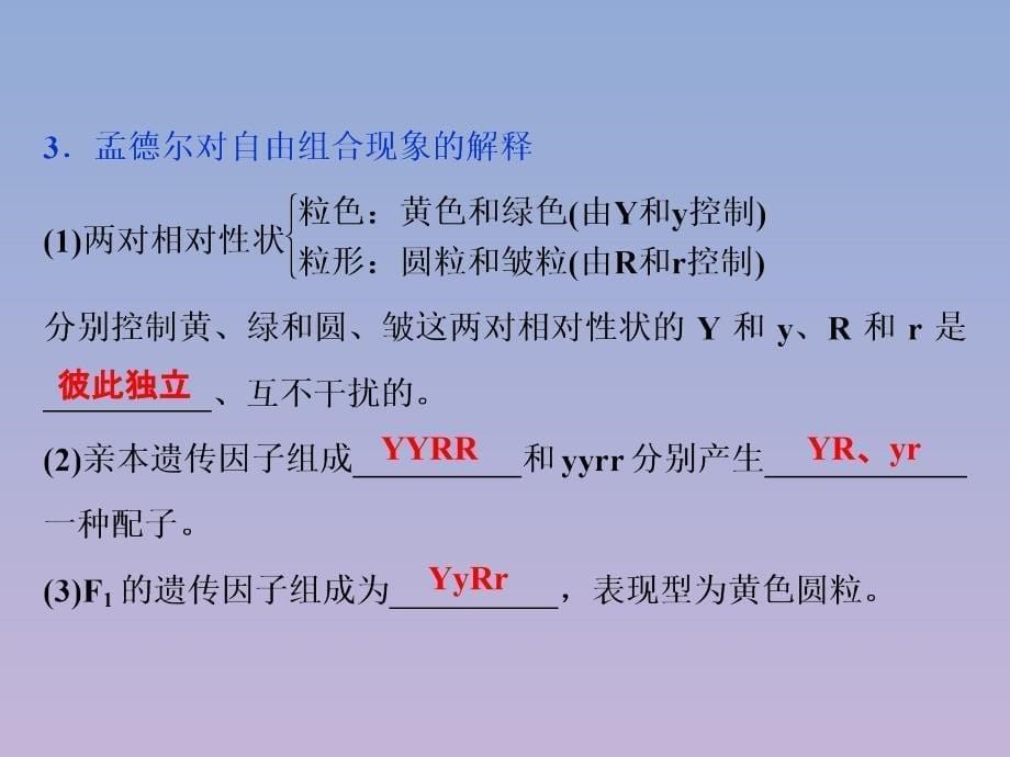 2019-2020学年高中生物 第三章 遗传和染色体 第二节 基因的自由组合定律 第1课时 基因的自由组合定律课件 苏教版必修2_第5页