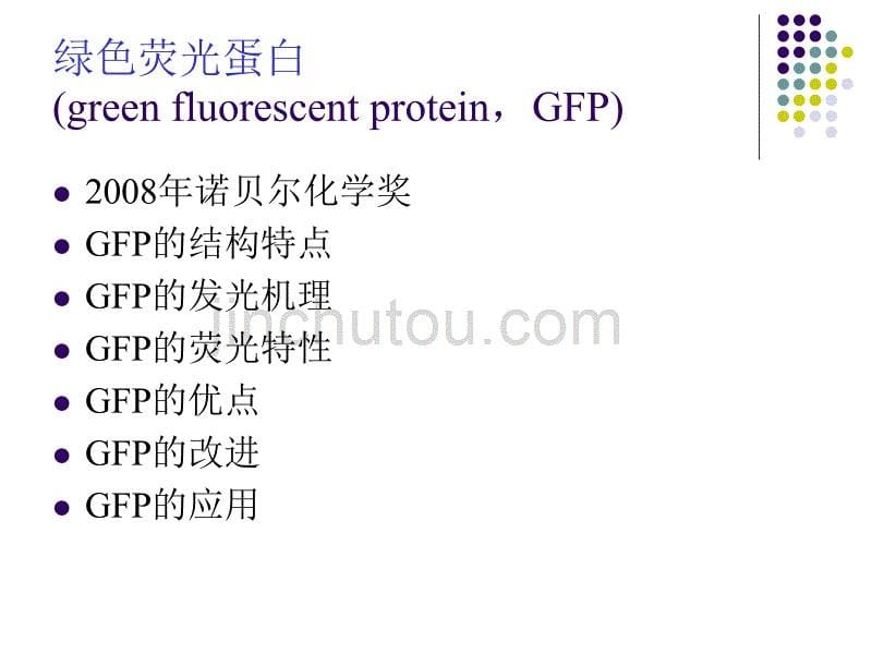 GFP融合蛋白进行蛋白质亚细胞定位_第5页