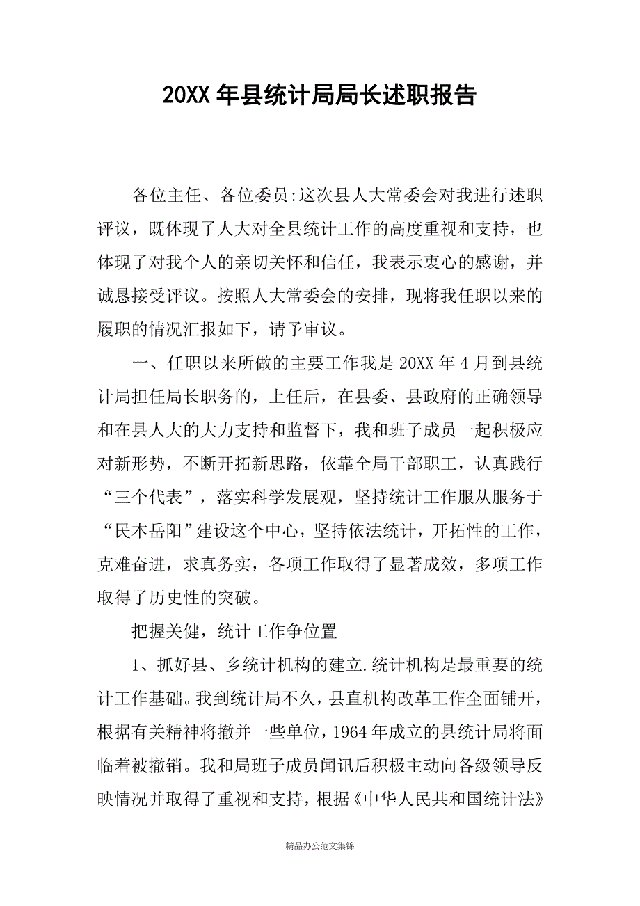 20XX年县统计局局长述职报告_第1页