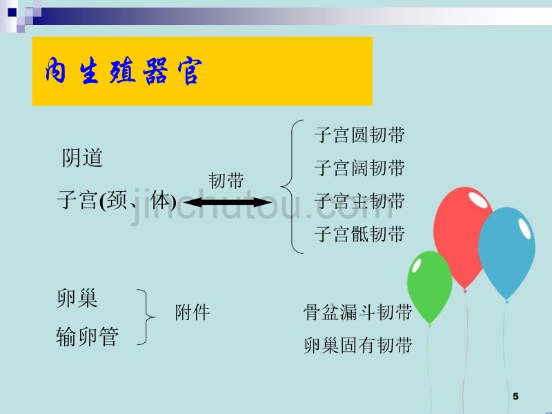 女性盆腔解剖系统要点_第5页