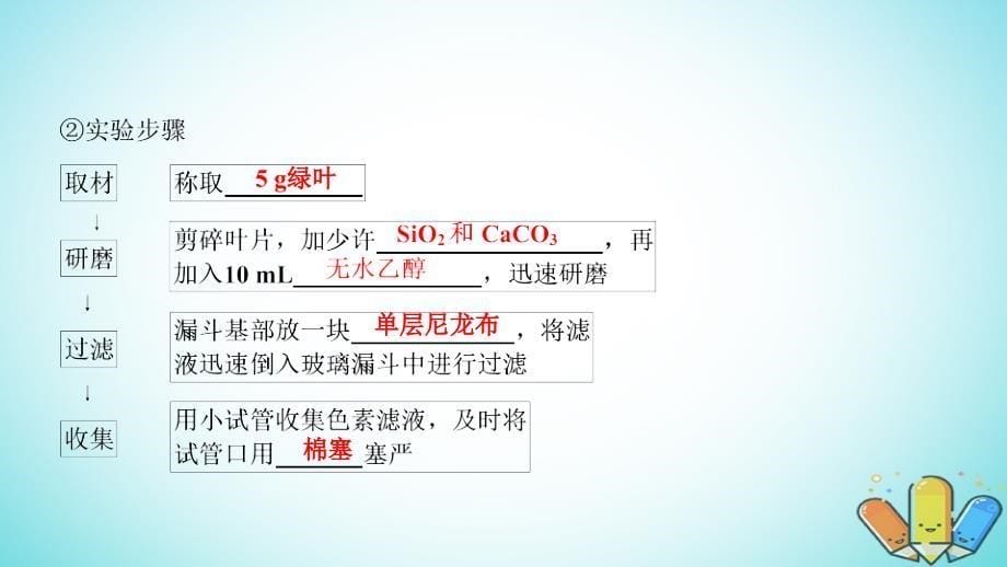 2018-2019学年高中生物 第五章 细胞的能量供应和利用 第4节 第1课时 捕获光能的色素和结构课件 新人教版必修1_第5页