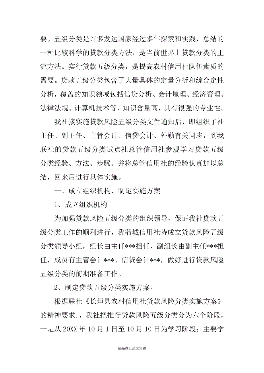 XX农信社贷款风险五级分类总结材料_第2页