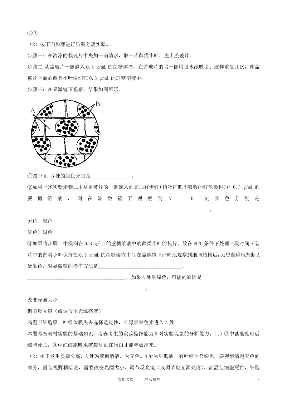 高三生物复习学案：专题7 实验与探究_第3页