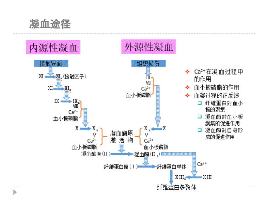 CFMS血栓弹力图骨科_第4页