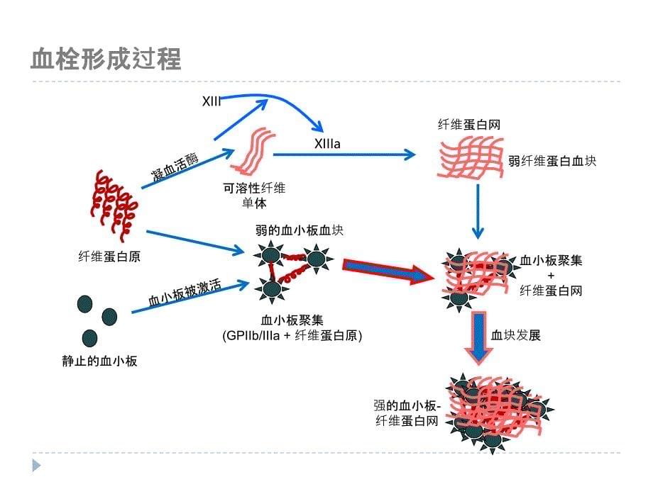 CFMS血栓弹力图骨科_第5页