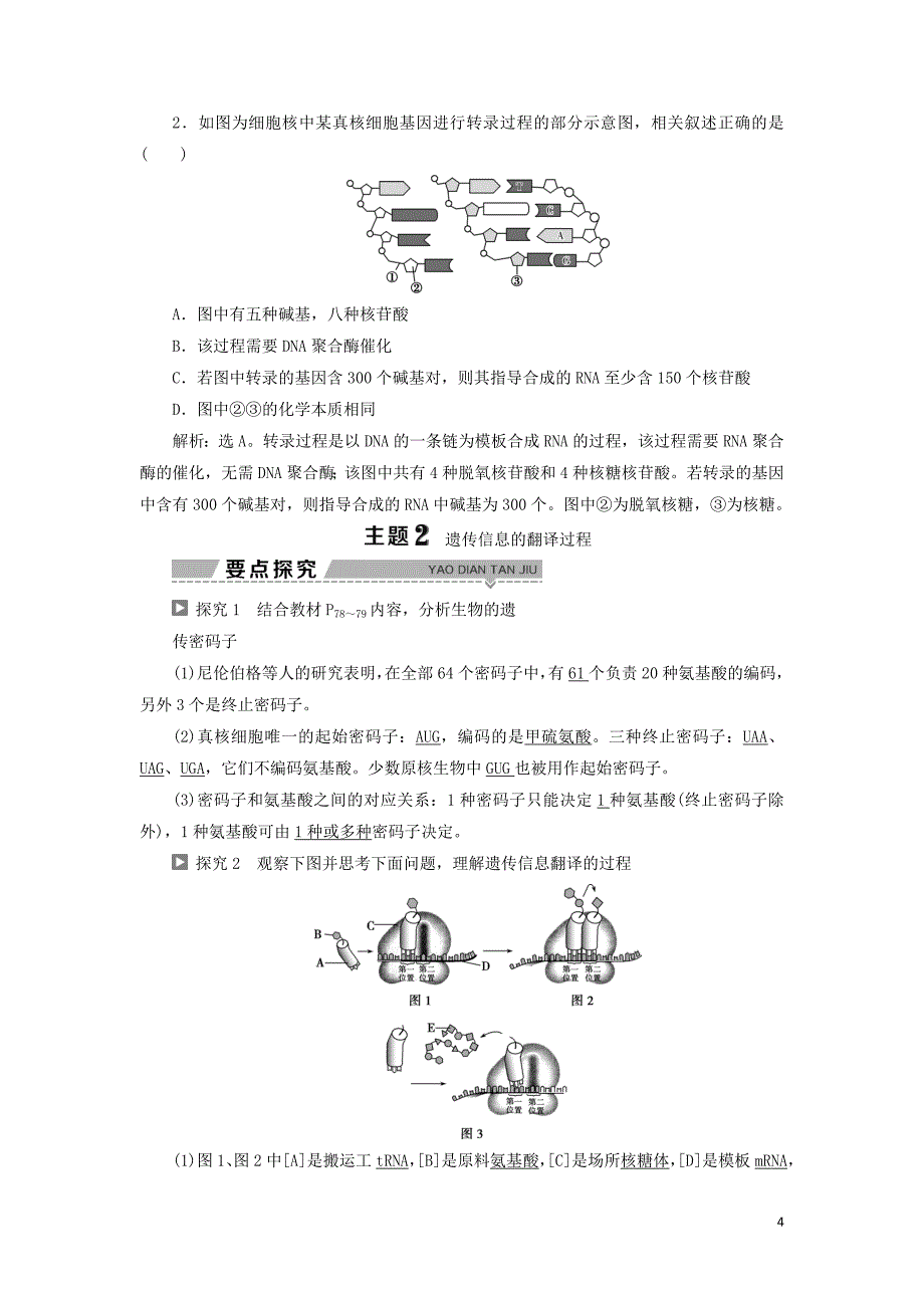 2019-2020学年高中生物 第四章 遗传的分子基础 第三节 基因控制蛋白质的合成 第1课时 从基因到蛋白质学案 苏教版必修2_第4页