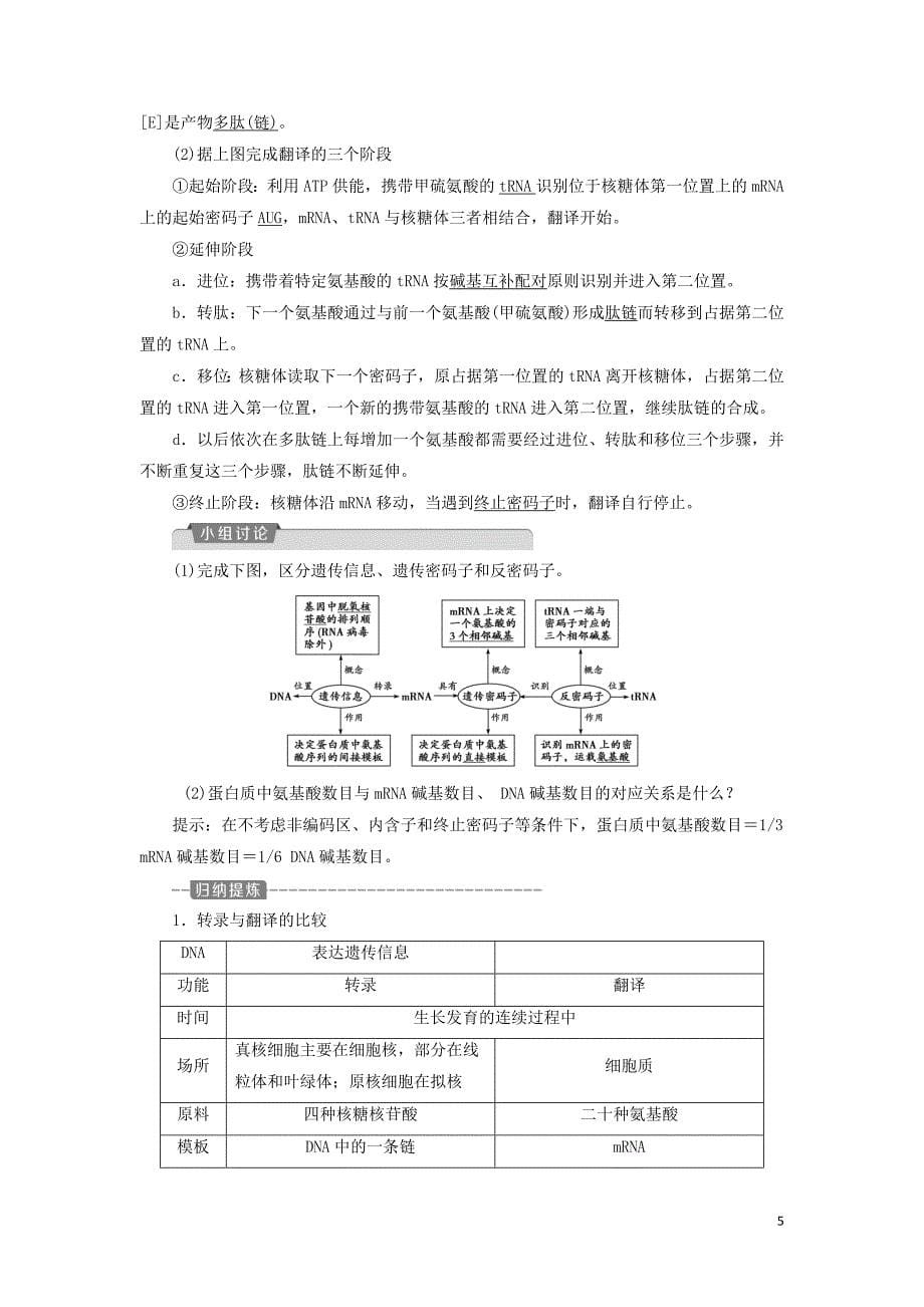 2019-2020学年高中生物 第四章 遗传的分子基础 第三节 基因控制蛋白质的合成 第1课时 从基因到蛋白质学案 苏教版必修2_第5页