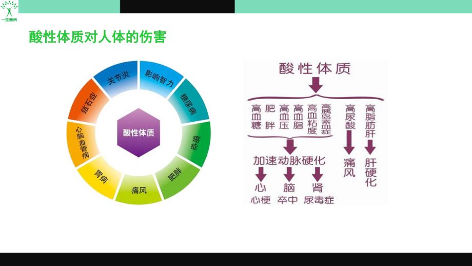 酸痛--痛风常识与药食同源调理_第3页