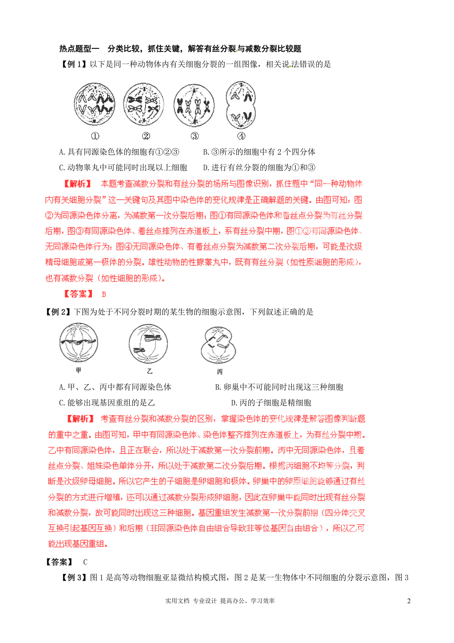 2013届高考生物复习夺标学案：专题06 遗传的细胞基础（卷）_第2页