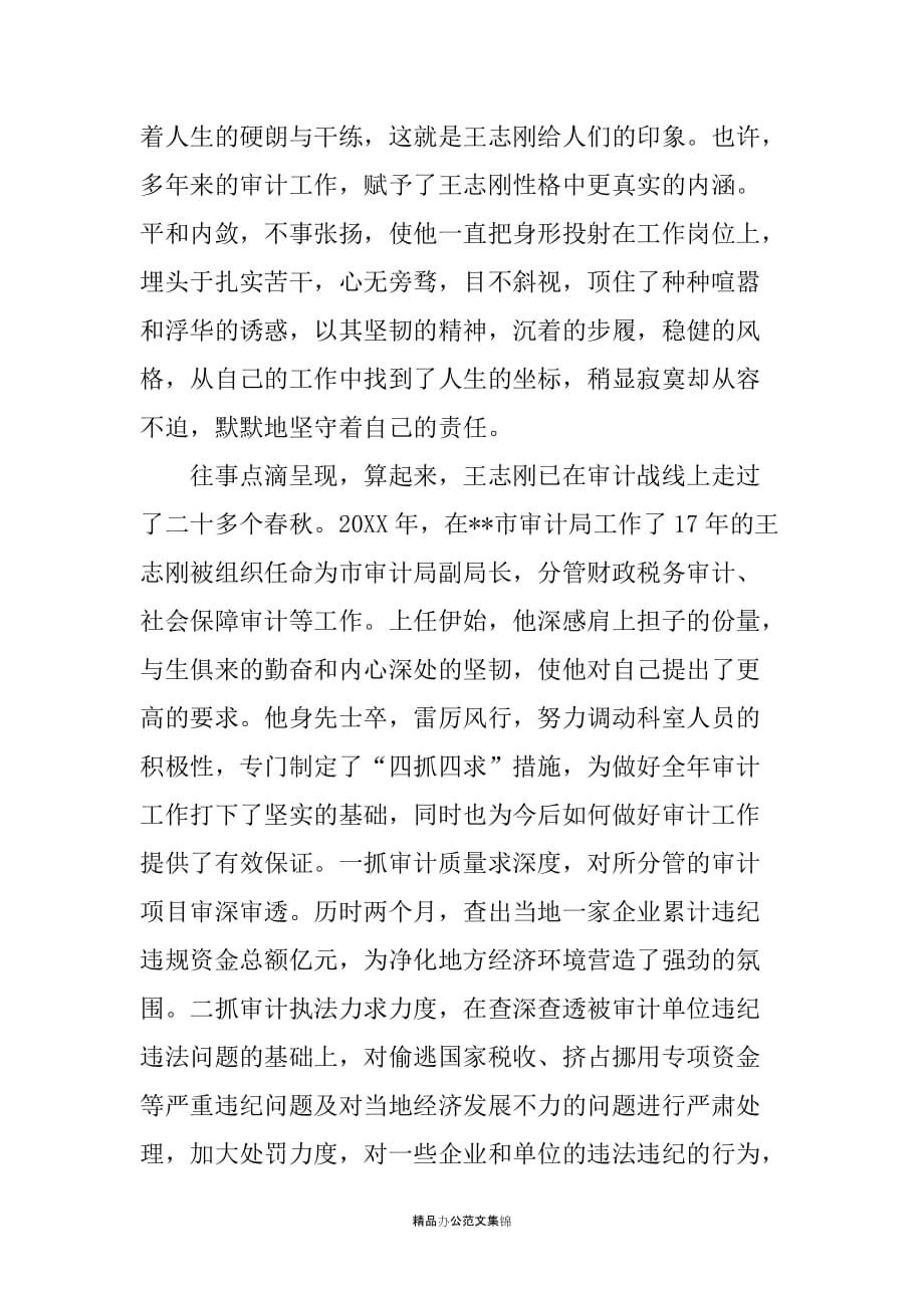 XX审计局副局长个人先进事迹材料_第2页