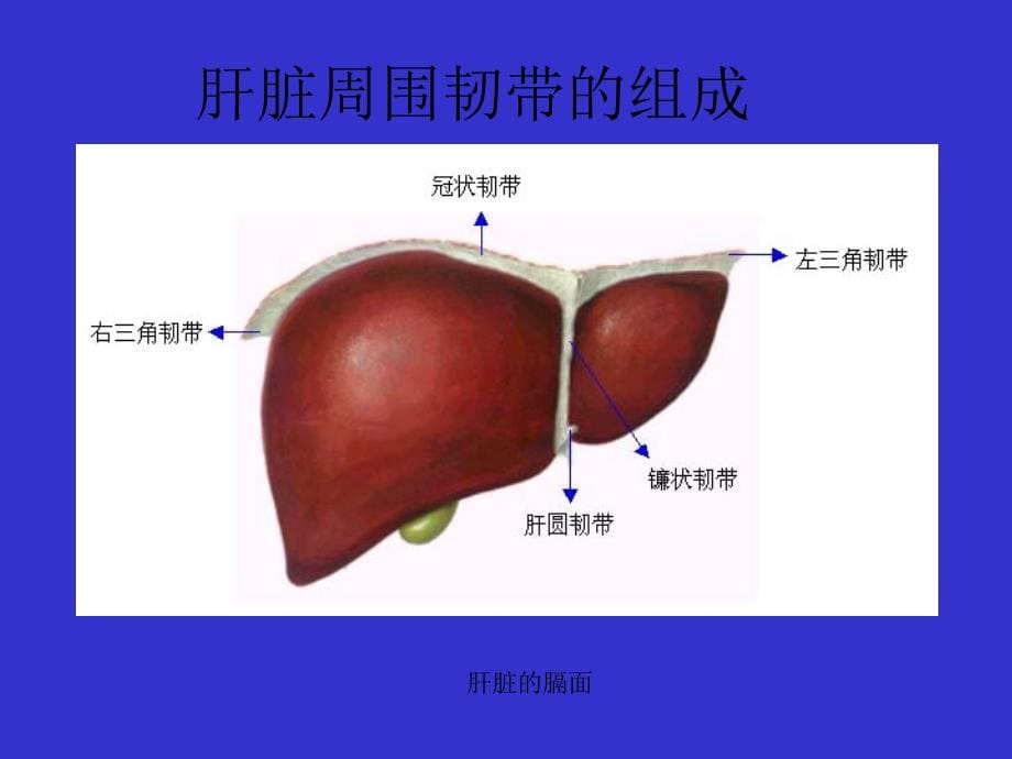 CT增强扫描对腹部疾病诊断价值_第5页