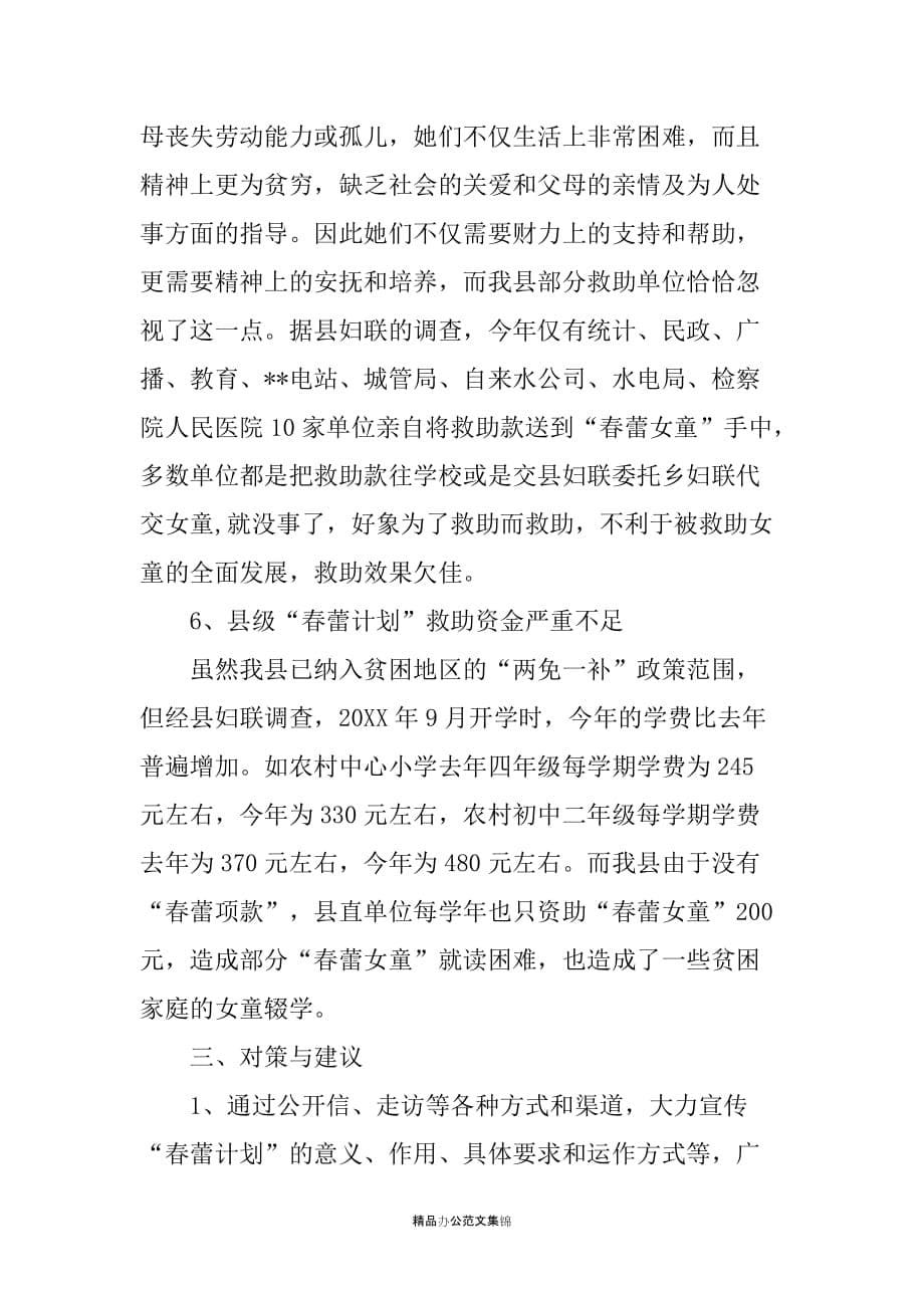 妇儿工委关于全县-春蕾计划-实施情况的汇报_第5页