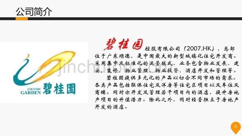 碧桂园战略、SWOT、环境分析_第5页