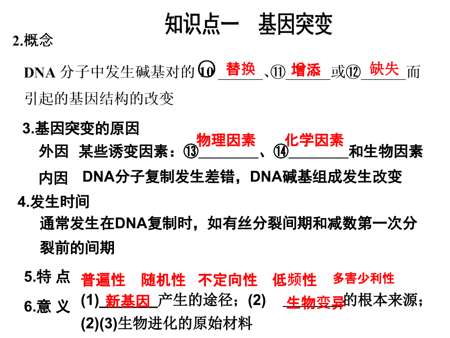 基因突变及他变异复习_第2页