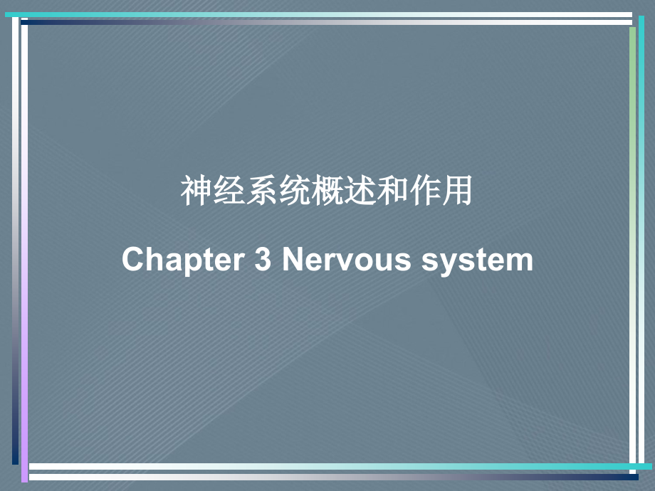 神经系统概述和作用_第1页