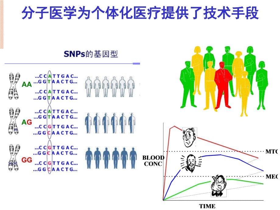 分子遗传医学检验项目（GTP）在保健和临床中应用_第5页