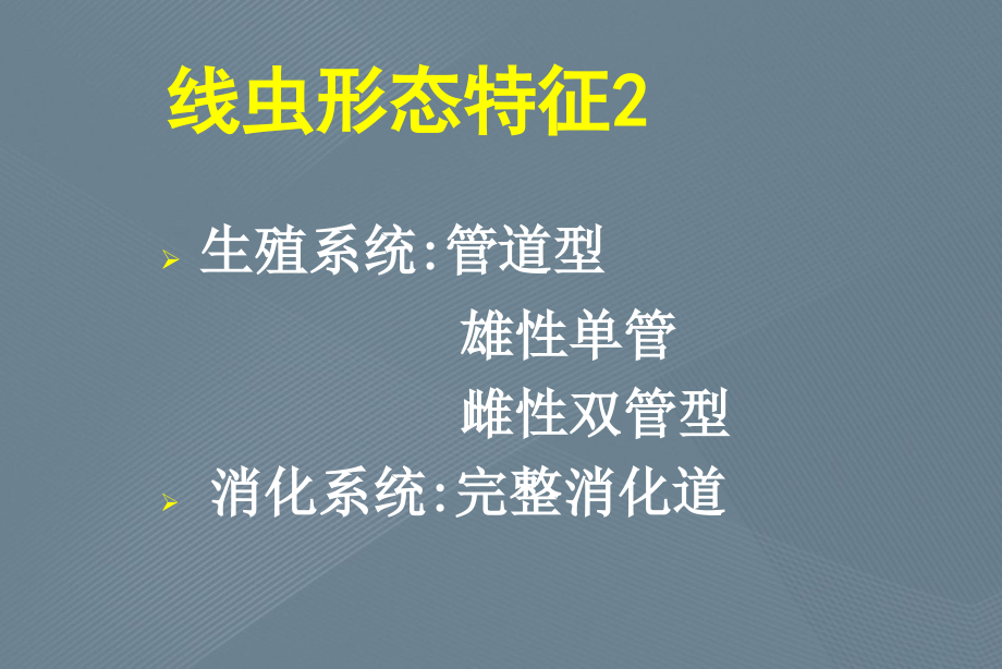 线虫的形态基本特性和微生物学理论_第3页