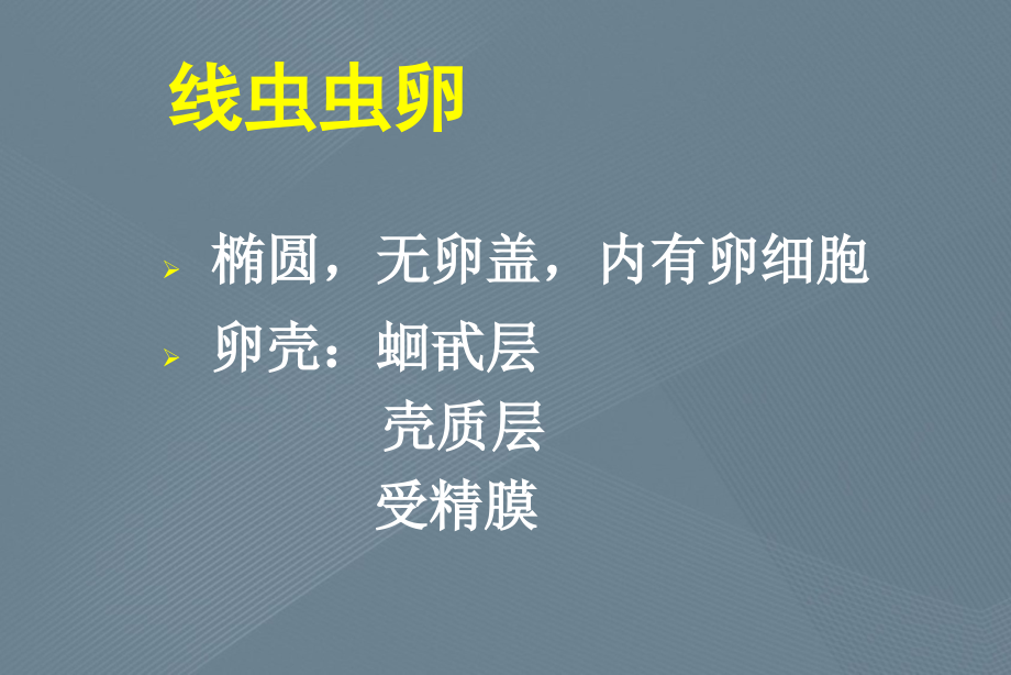 线虫的形态基本特性和微生物学理论_第4页