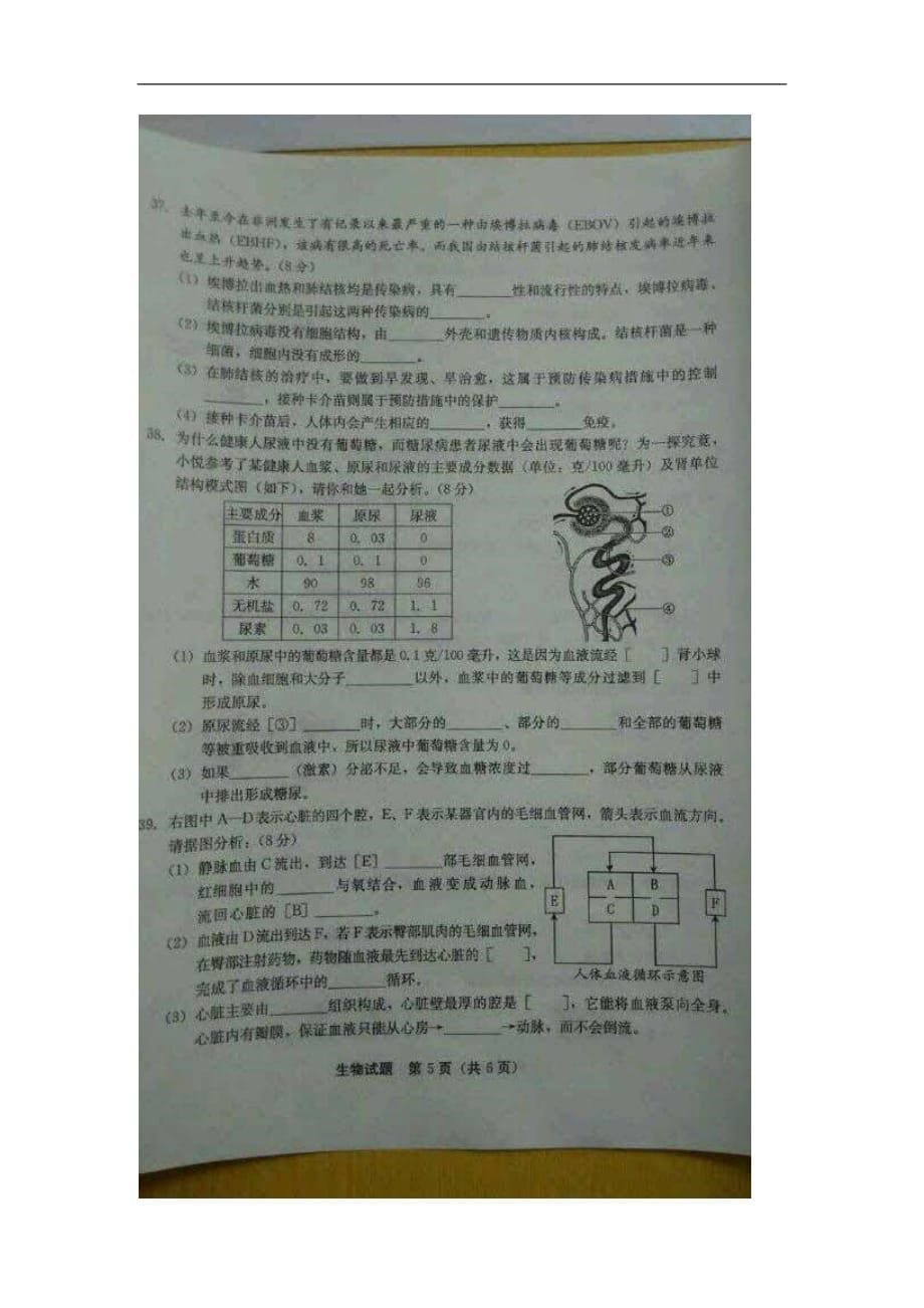 福建省泉州市2015年中考生物试题扫描版_第5页