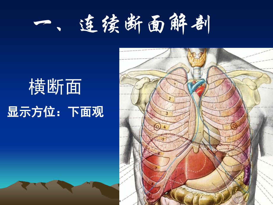 胸部三维断层解剖_第2页