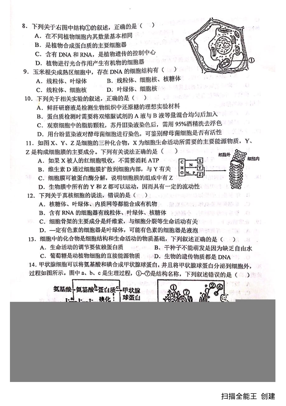 湖北省2019-2020学年高一生物上学期期末考试试题（PDF无答案）_第2页