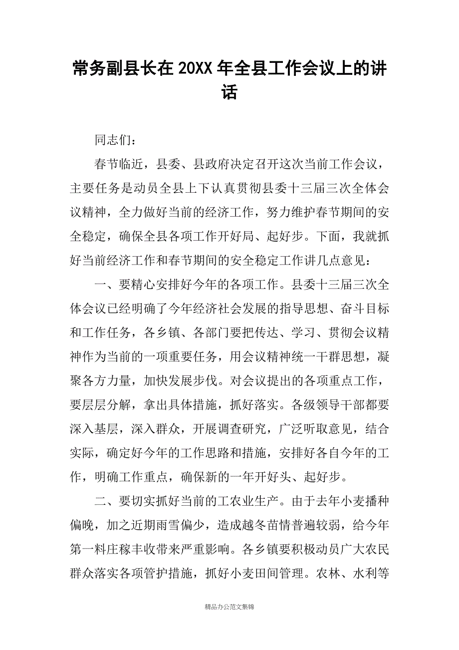 常务副县长在20XX年全县工作会议上的讲话_第1页