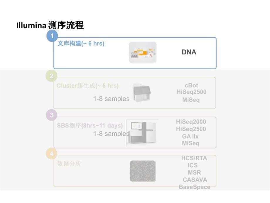 Illumina平台测序原理与常见测序文库构建_第5页