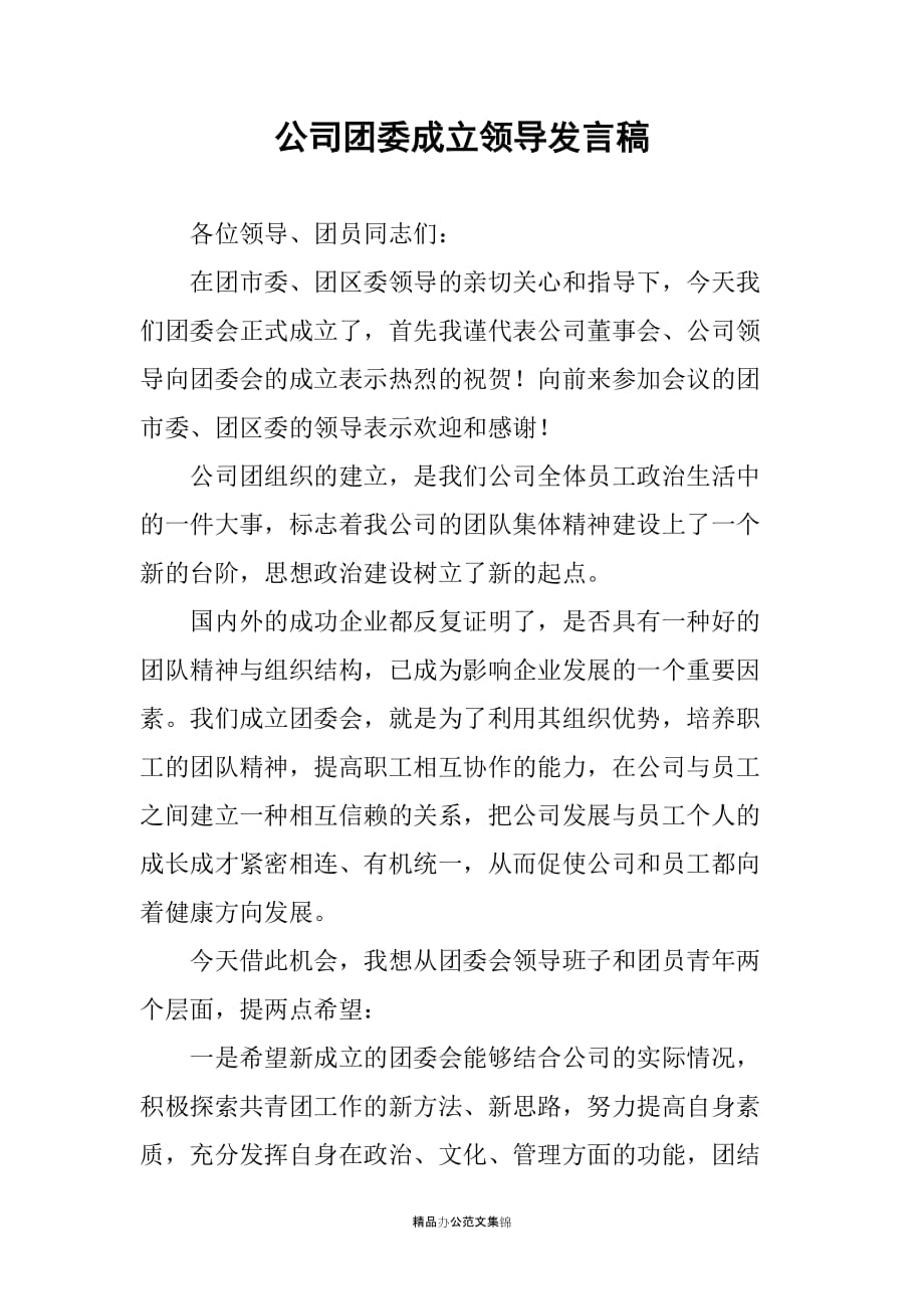 公司团委成立领导发言稿_1_第1页