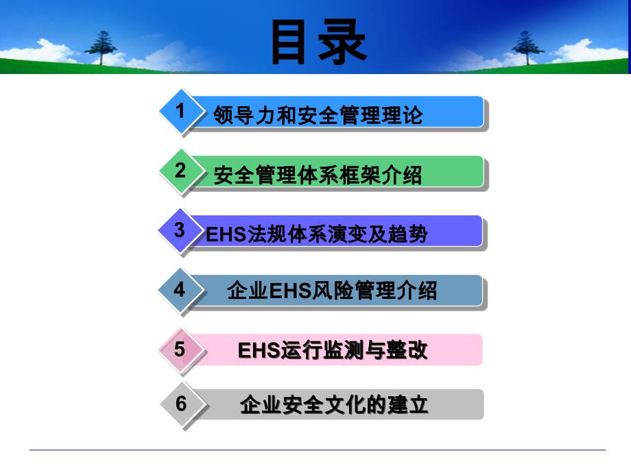 唐海川-塑造有感EHS领导力_第2页