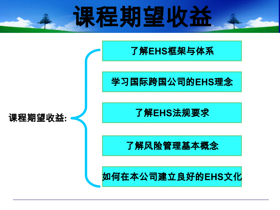 唐海川-塑造有感EHS领导力_第3页