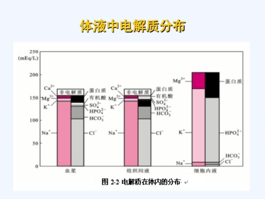 水、电解质、酸碱代谢失衡病人的护理(PPT-130)_第5页