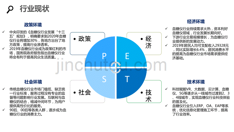 2020血糖仪企业战略经营计划_第4页