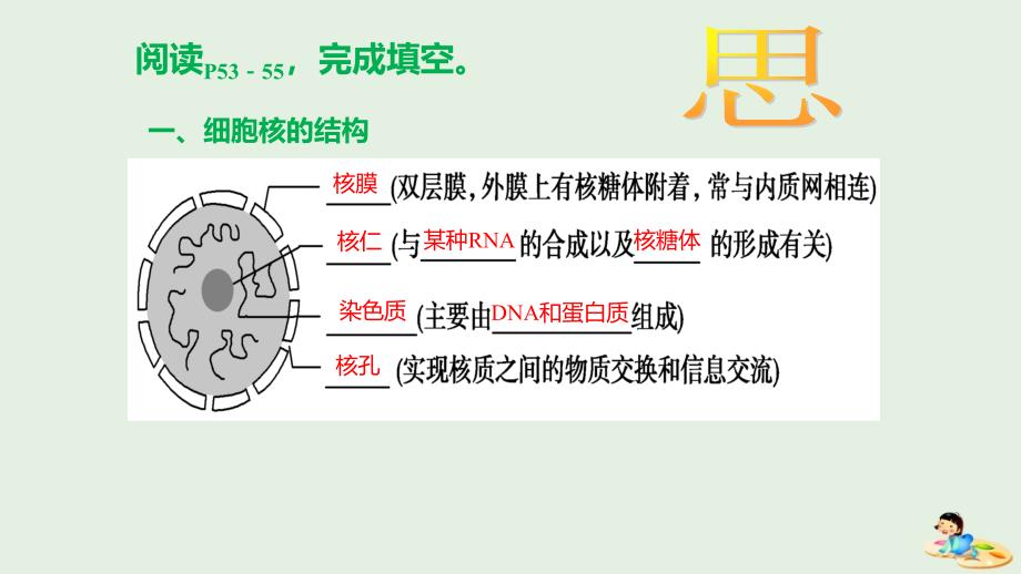 江西省吉安县第三中学高中生物3.3细胞核——系统的控制中心（第2课时）课件新人教版必修1_第3页