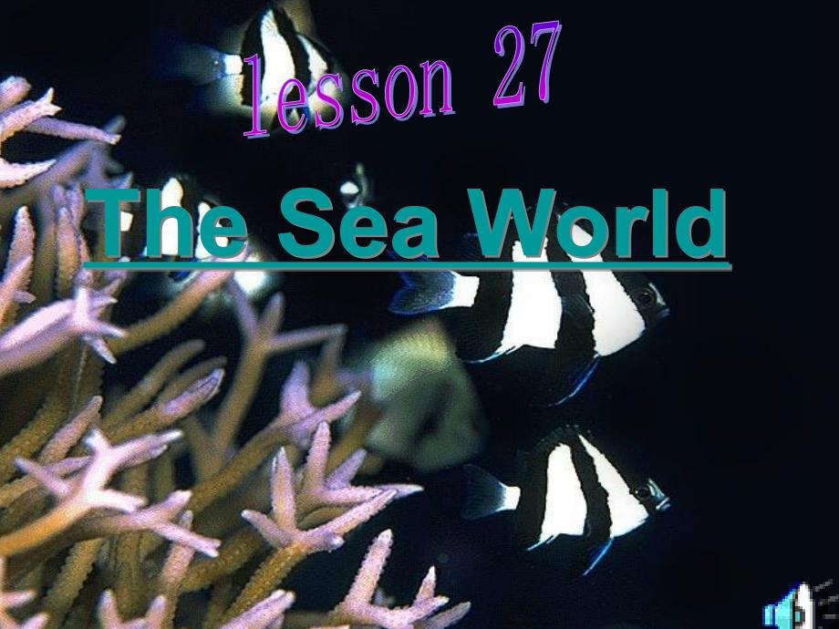 Unit 7 Lesson3 The Sea World课件 (北师大版模块3)_第1页